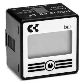 Đồng hồ áp suất Series PG